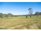 275 Finns Road, Menangle NSW 2568