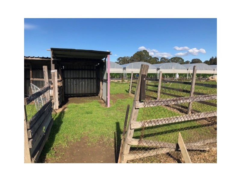 63 Victor Ave, Kemps Creek NSW 2178