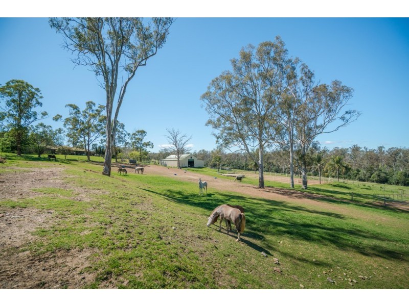 775 Cut Hill Road, Cobbitty NSW 2570