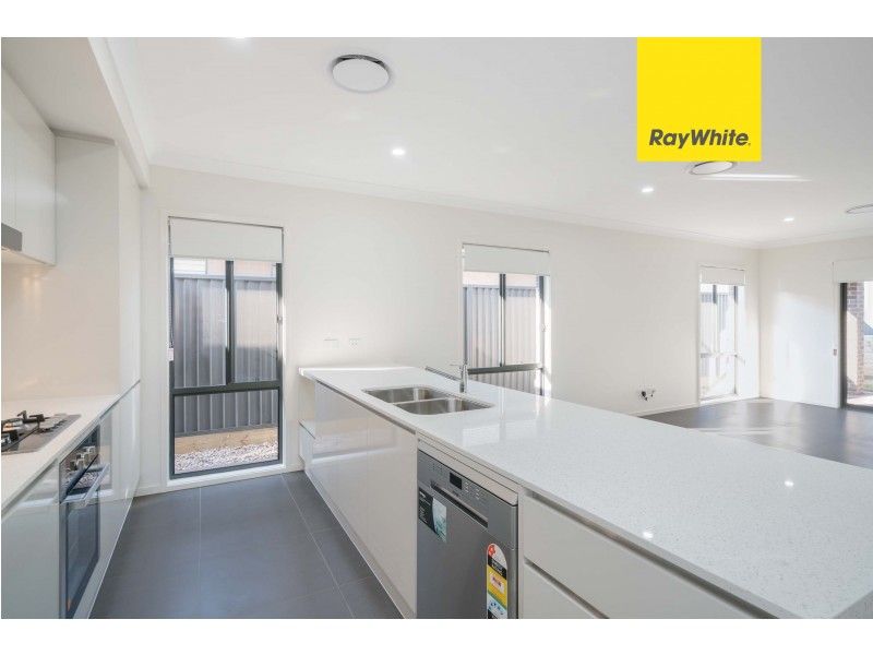17 Bibb Avenue, Cobbitty NSW 2570