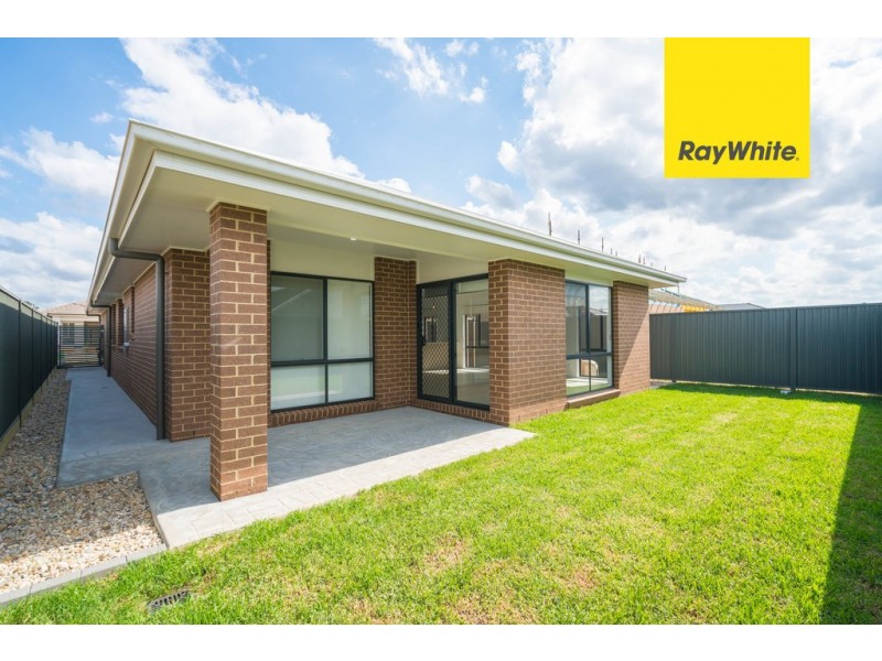 19 Gill St, Cobbitty NSW 2570