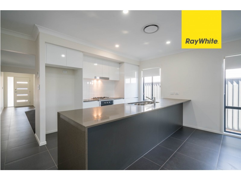 40 Goodluck Cct, Cobbitty NSW 2570