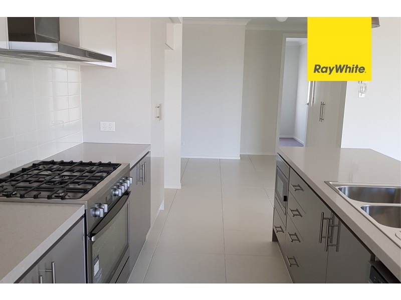 9 Kobady Ave, Cobbitty NSW 2570