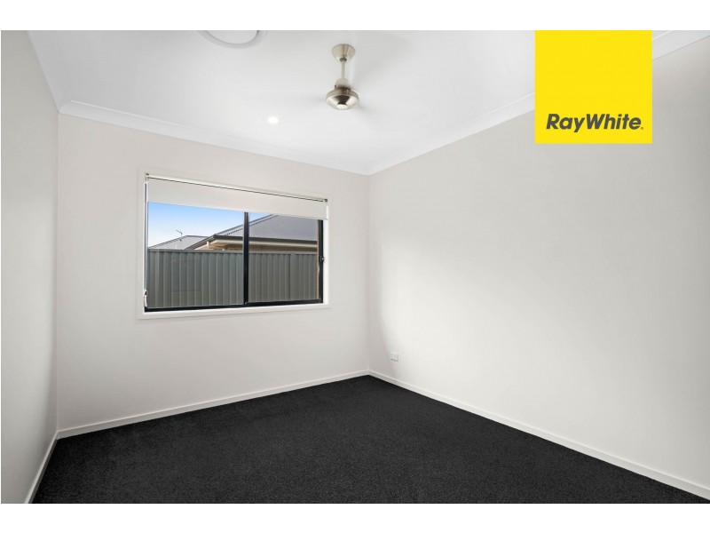 38 Goodluck Circuit, Cobbitty NSW 2570