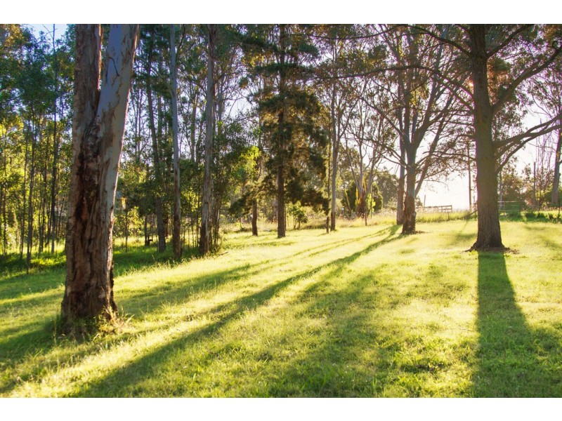 44 Findley Rd, Bringelly NSW 2556