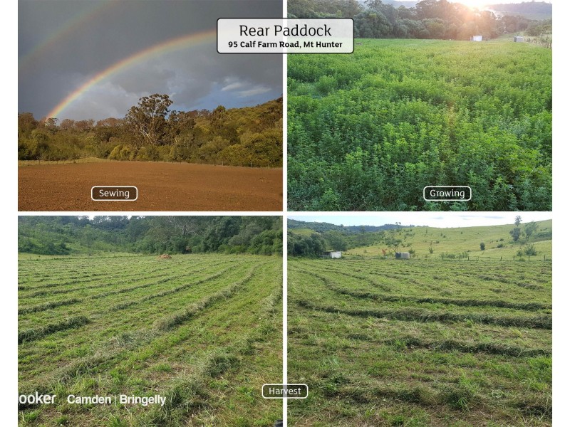 95 Calf Farm Road, Mount Hunter NSW 2570