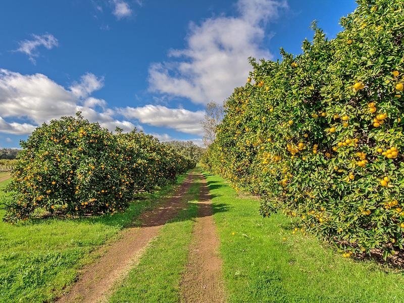 229 Scarp Rd, Keysbrook WA 6126