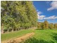 229 Scarp Rd, Keysbrook WA 6126