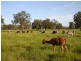 364 Summerfield Rd, Mardella WA 6125