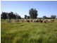 364 Summerfield Rd, Mardella WA 6125
