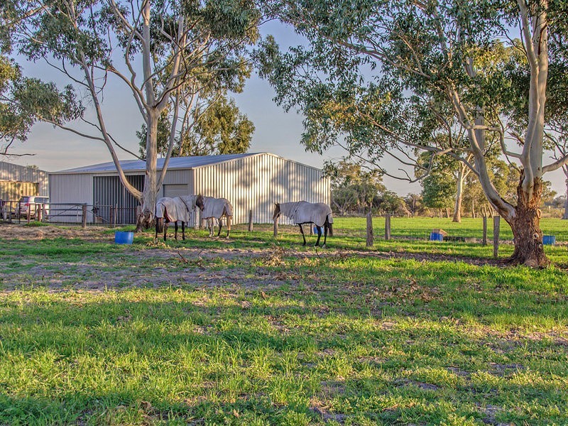 582 Henderson Rd, Hopeland WA 6125