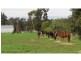 237 Lowlands Rd, Mardella WA 6125