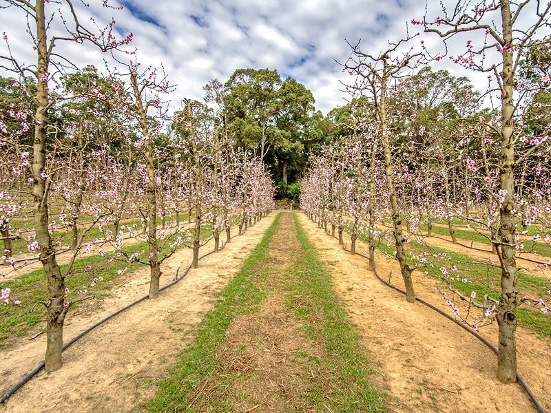 2264 Kingsbury Drive, Jarrahdale WA 6124