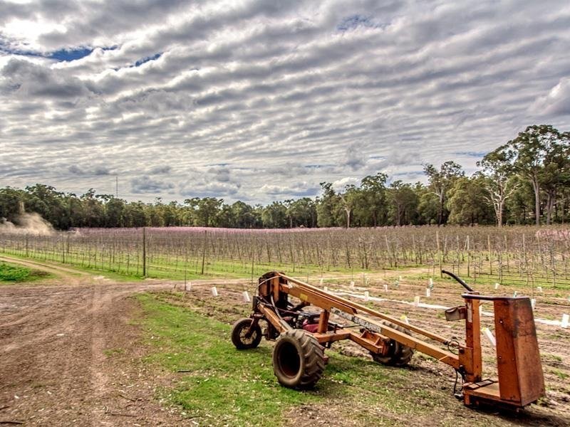 2264 Kingsbury Drive, Jarrahdale WA 6124