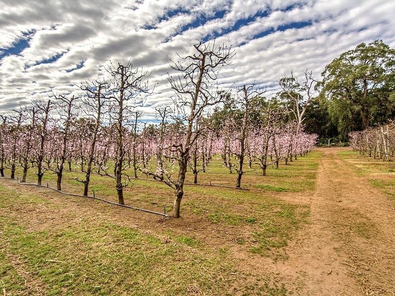 2264 Kingsbury Drive, Jarrahdale WA 6124