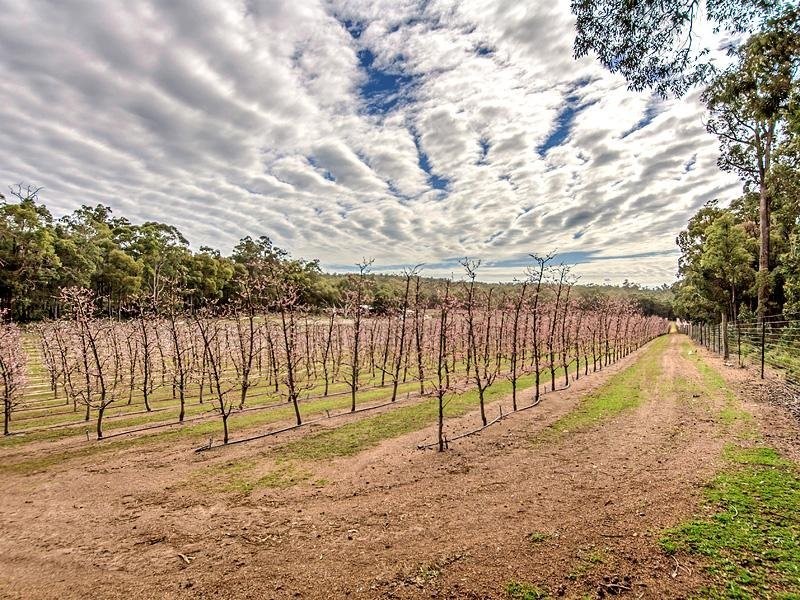 2264 Kingsbury Drive, Jarrahdale WA 6124