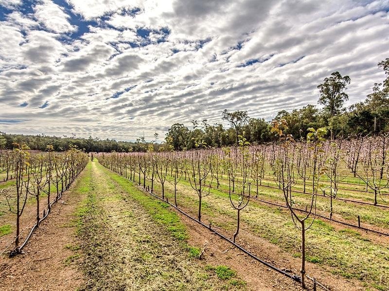 2264 Kingsbury Drive, Jarrahdale WA 6124