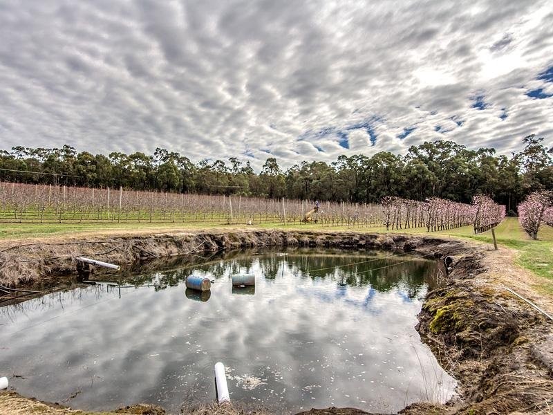 2264 Kingsbury Drive, Jarrahdale WA 6124