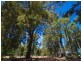 23 Hibbertia Court, Jarrahdale WA 6124