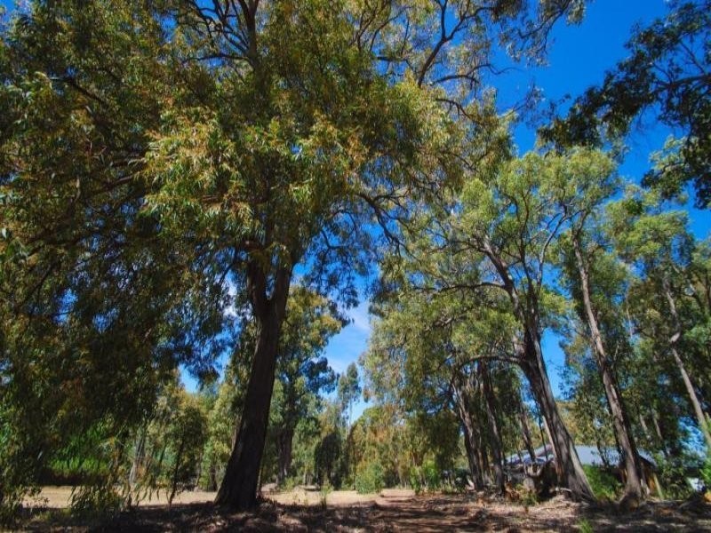 23 Hibbertia Court, Jarrahdale WA 6124
