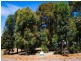 23 Hibbertia Court, Jarrahdale WA 6124