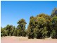 23 Hibbertia Court, Jarrahdale WA 6124