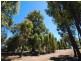 23 Hibbertia Court, Jarrahdale WA 6124