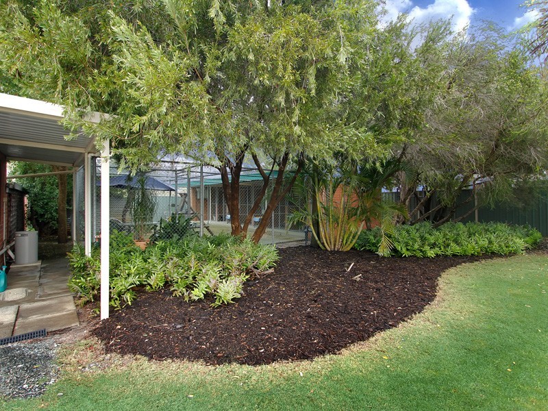 11 Passmore Street, Southern River WA 6110