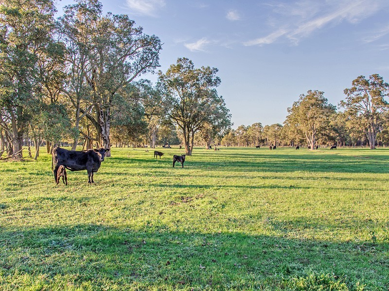 582 Henderson Rd, Hopeland WA 6125