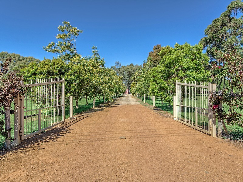 19 Bernborough way, Darling Downs WA 6122