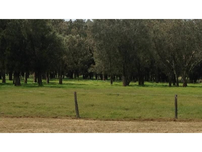 100 Lowlands Road, Mardella WA 6125