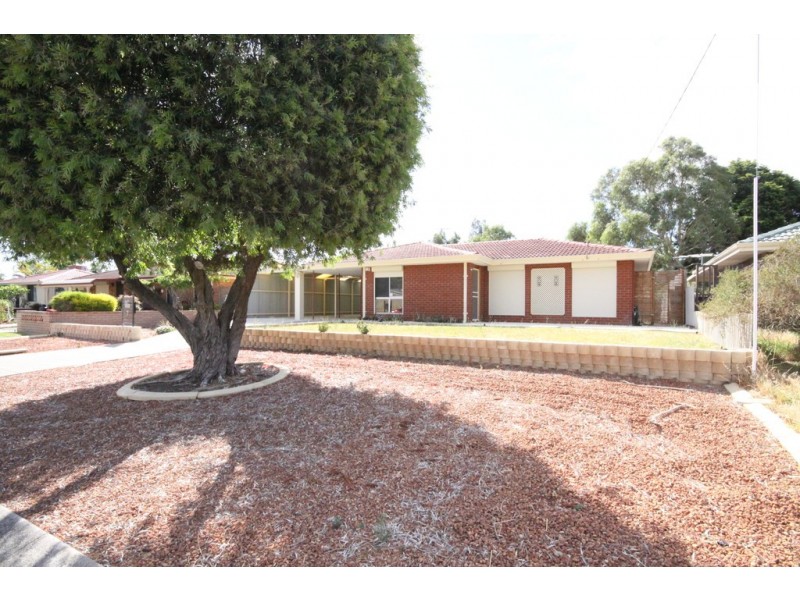 7 Dryandra Way, Armadale WA 6112