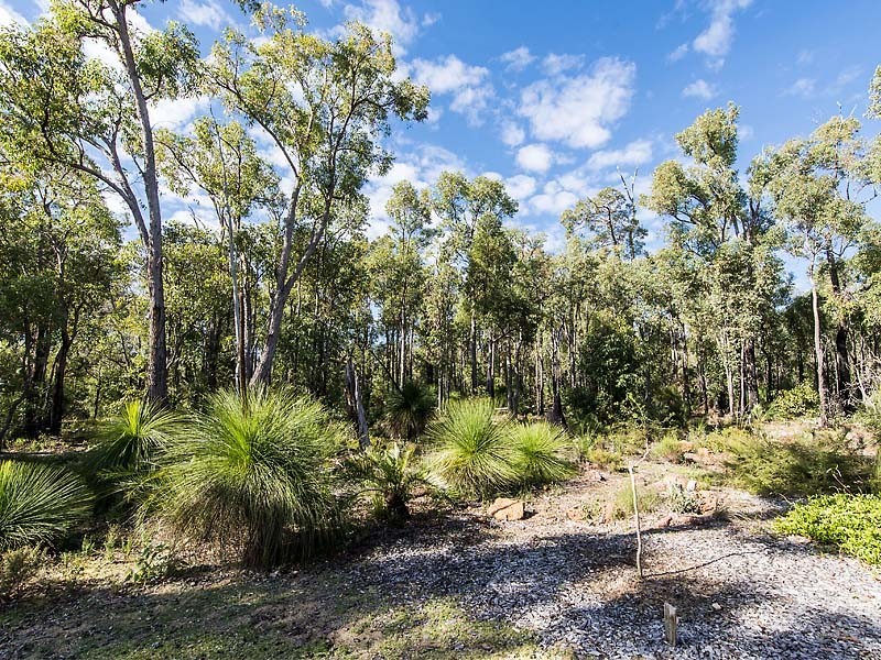 13 Protector Grove, Roleystone WA 6111