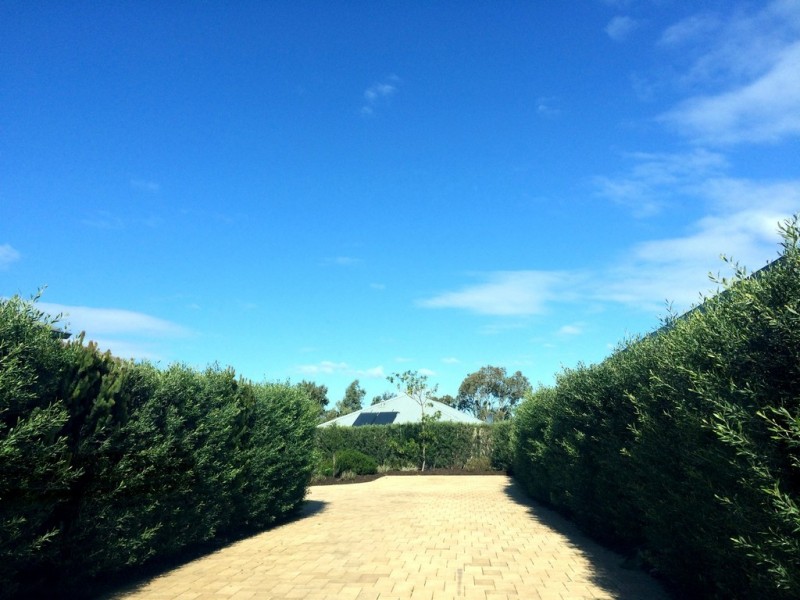 4 Foothill Close, Aubin Grove WA 6164