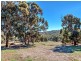 181 Jarrahdale Road, Jarrahdale WA 6124