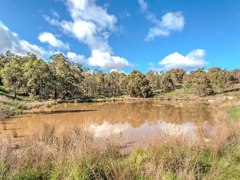 229 Jarrahdale Road, Jarrahdale WA 6124