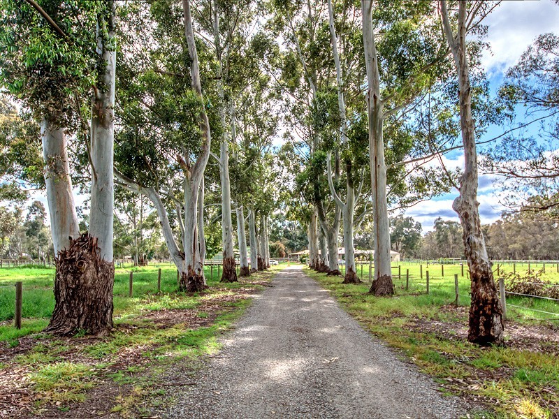 20 Delta Court, Darling Downs WA 6122