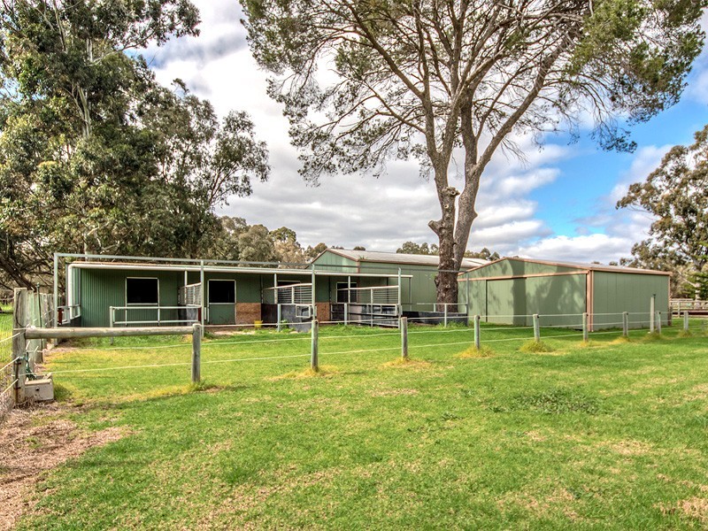 20 Delta Court, Darling Downs WA 6122