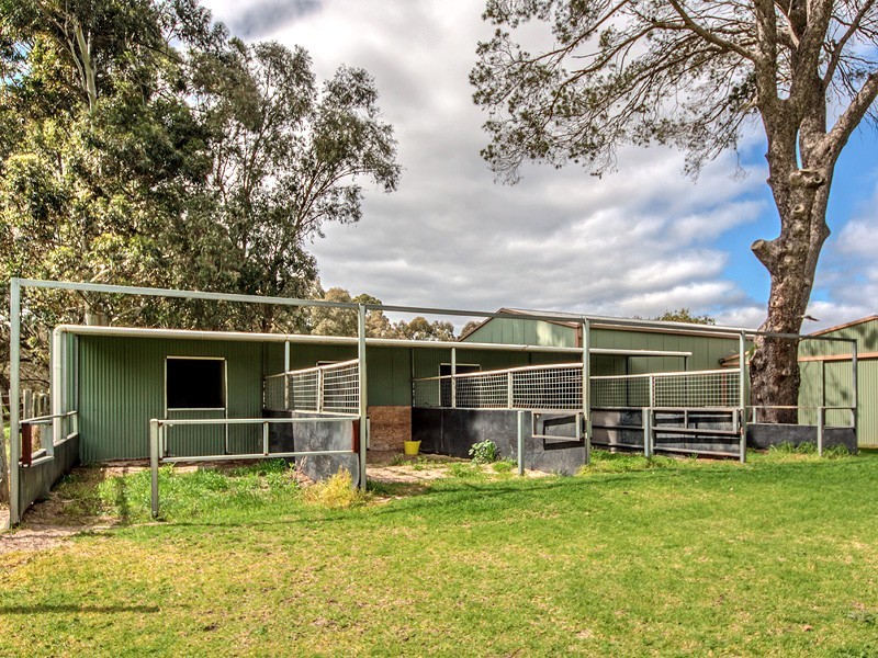 20 Delta Court, Darling Downs WA 6122