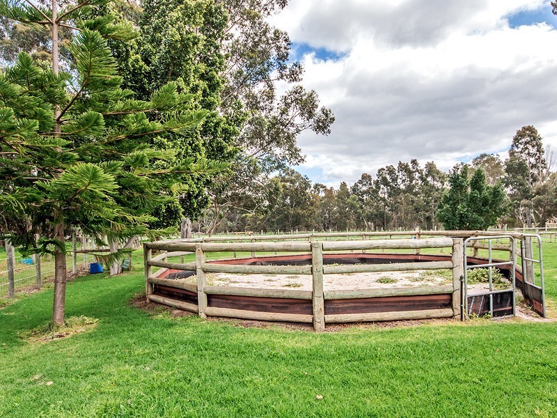 20 Delta Court, Darling Downs WA 6122