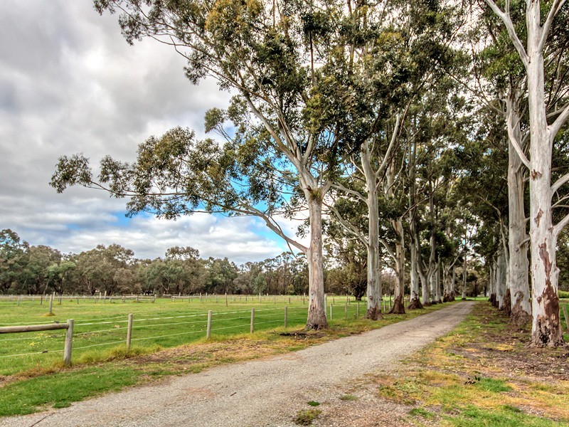 20 Delta Court, Darling Downs WA 6122