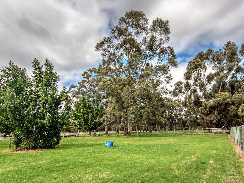 20 Delta Court, Darling Downs WA 6122
