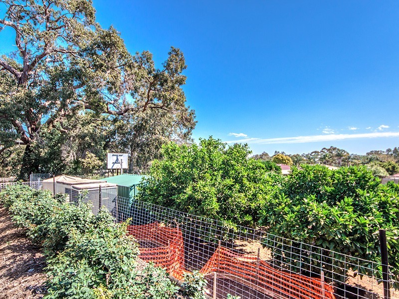 8 Bradshaw Road, Byford WA 6122