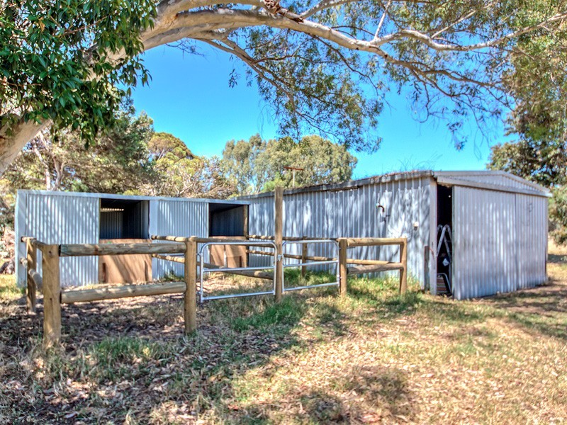 24 Rain Lover Court, Darling Downs WA 6122