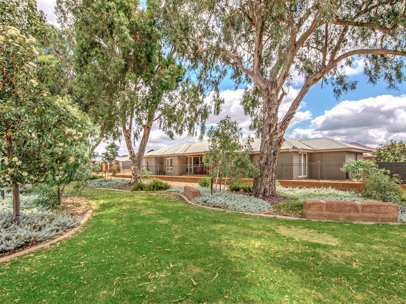 10 Letterkenny  Way, Hilbert WA 6112