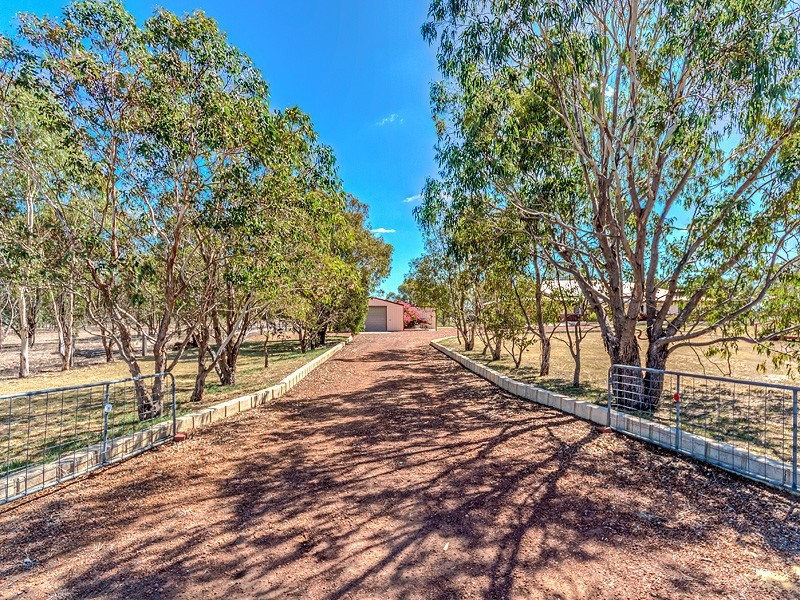 69 Haines Road, Baldivis WA 6171