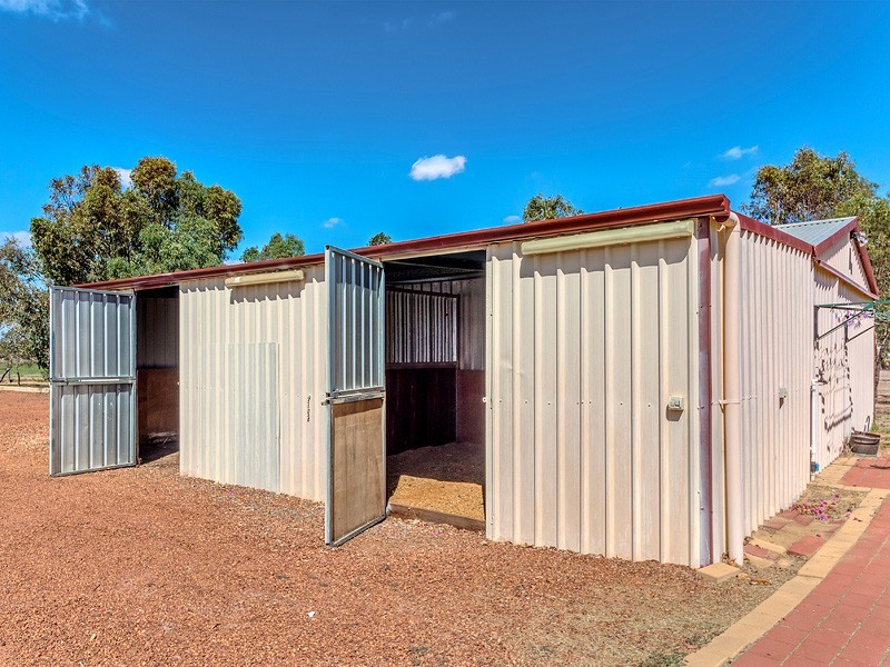 69 Haines Road, Baldivis WA 6171