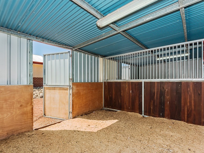 69 Haines Road, Baldivis WA 6171