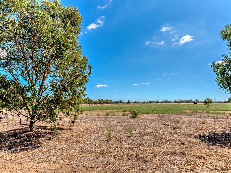 69 Haines Road, Baldivis WA 6171