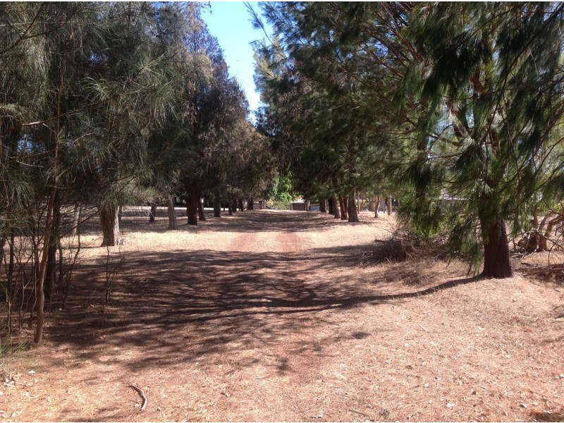 173 Jubb Road, Jarrahdale WA 6124